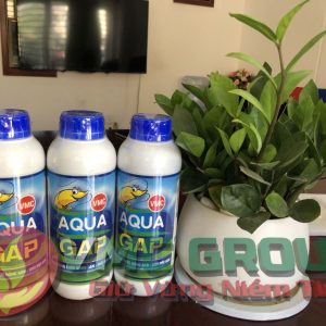 AQUA GAP TRONG NUÔI TRỒNG THỦY SẢN - Ảnh 2