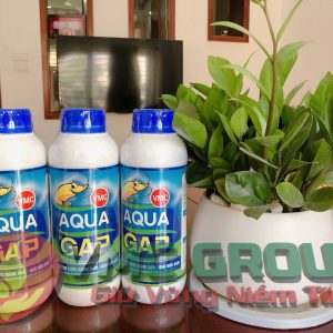 AQUA GAP TRONG NUÔI TRỒNG THỦY SẢN - Ảnh 3